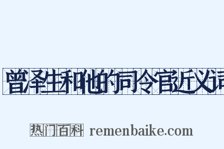 曾泽生和他的司令官近义词是什么意思的图片